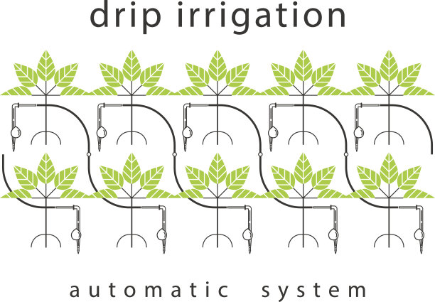 滴灌系统。向量线性图表。图片下载