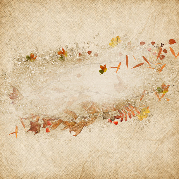 秋天的叶子在纹理的背景图片下载