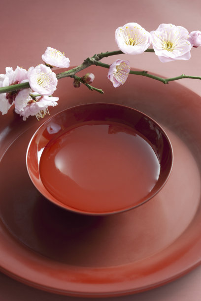 梅花与玻璃素材图片