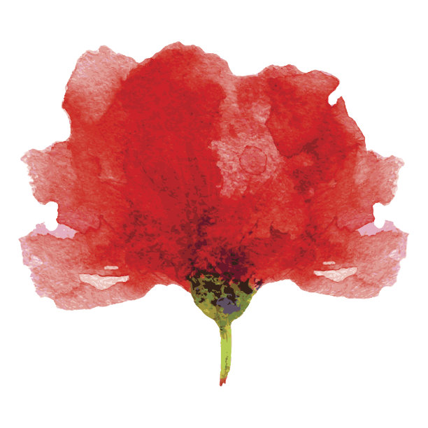虞美人红色花朵水彩插画，隔离在白色背景上，手绘艺术矢量绘画，用于设计贺卡、婚礼请柬花卉化妆品、有机商店、茶叶包装图片下载