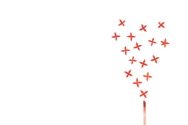 唇彩和红色的ixora花孤立在白色图片下载