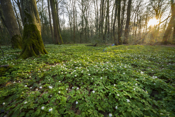 日落后有灯火地带素材图片