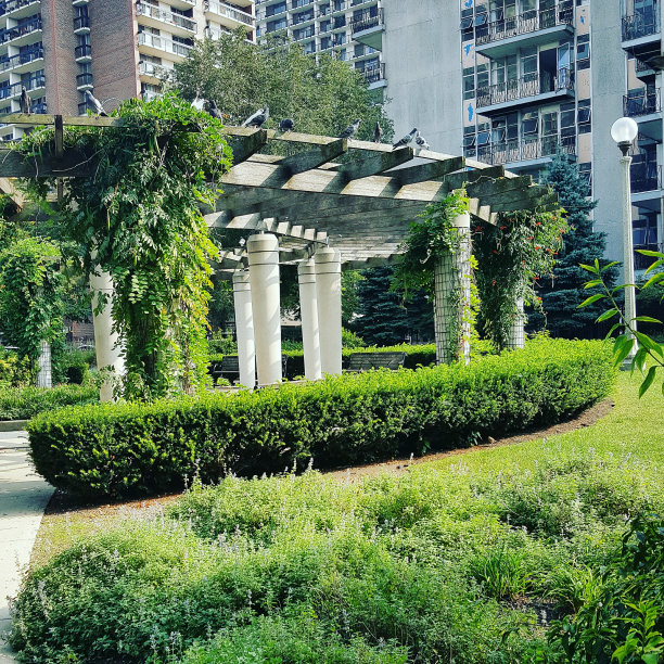 在芝加哥公园图片下载