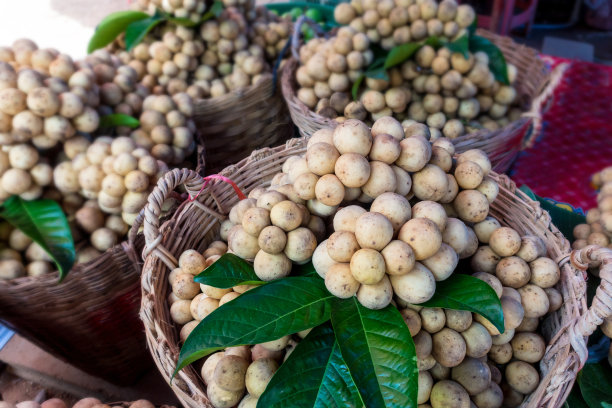 南方的langsat在大篮子里图片下载