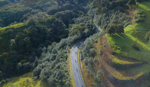 穿过绿地和茂密森林的乡村公路图片下载