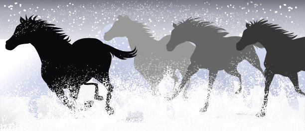 暴风雪中的赛马图片下载