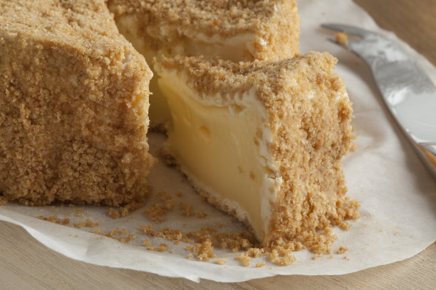 这是一块卡尔瓦多斯奶酪图片下载