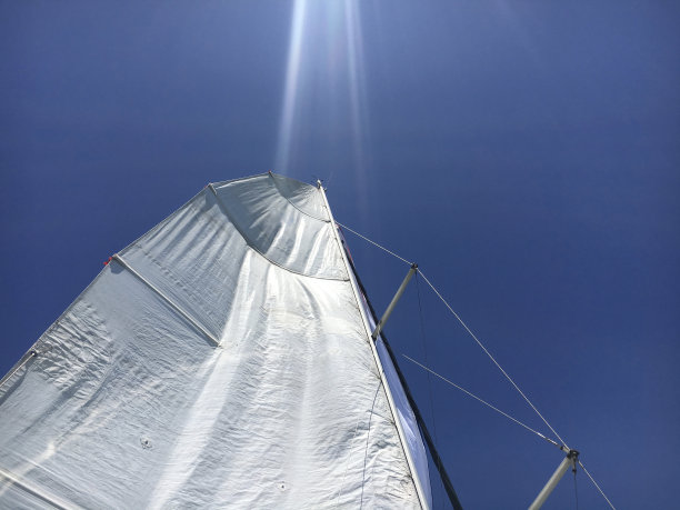 维拉祝贺图片下载