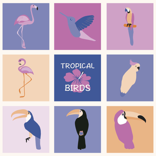 手绘热带鸟类。图片下载