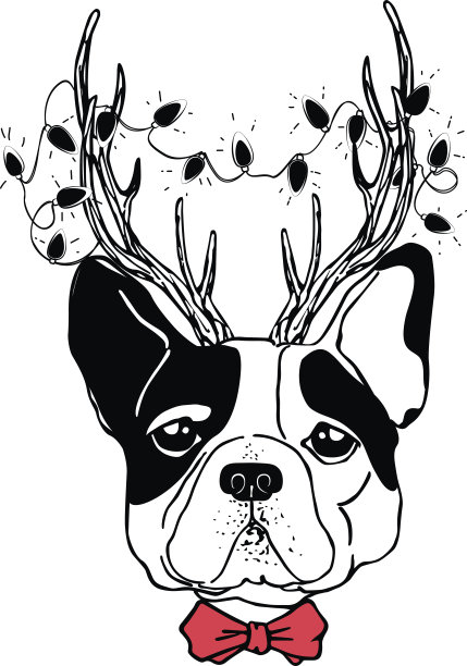 假期的狗图片下载