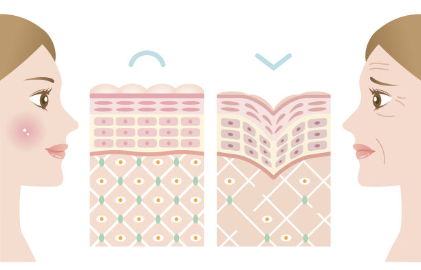 女人的脸有皱纹的老皮肤和健康的年轻皮肤。图片下载