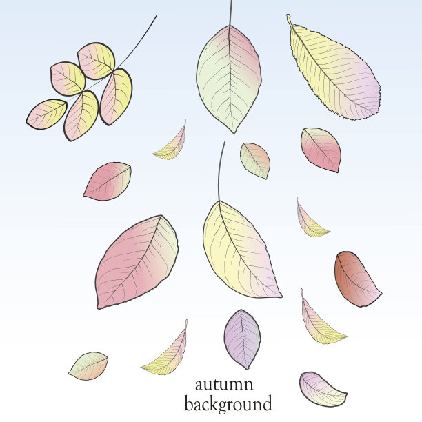 秋天的背景与树叶。回到学校。矢量图图片下载