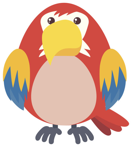 白色背景上的红色鹦鹉图片下载