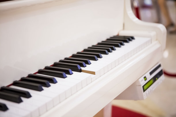 白色的钢琴图片下载