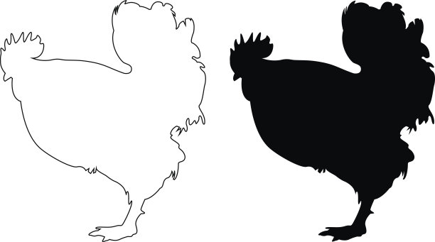 公鸡轮廓图片下载