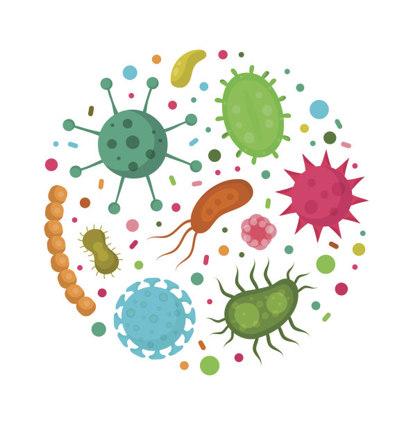 细菌微生物循环。图片下载