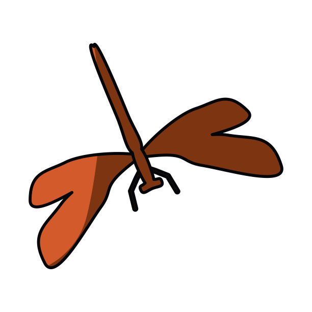 美丽的龙飞翔图片下载