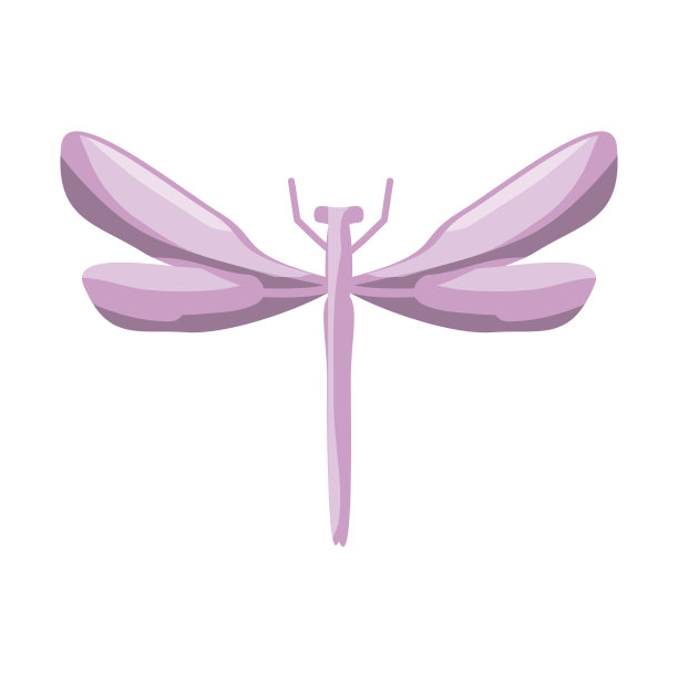 美丽的龙飞翔图片下载