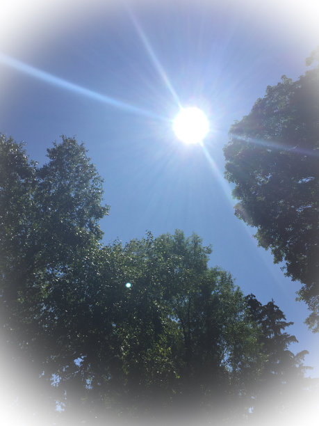 阳光图片下载