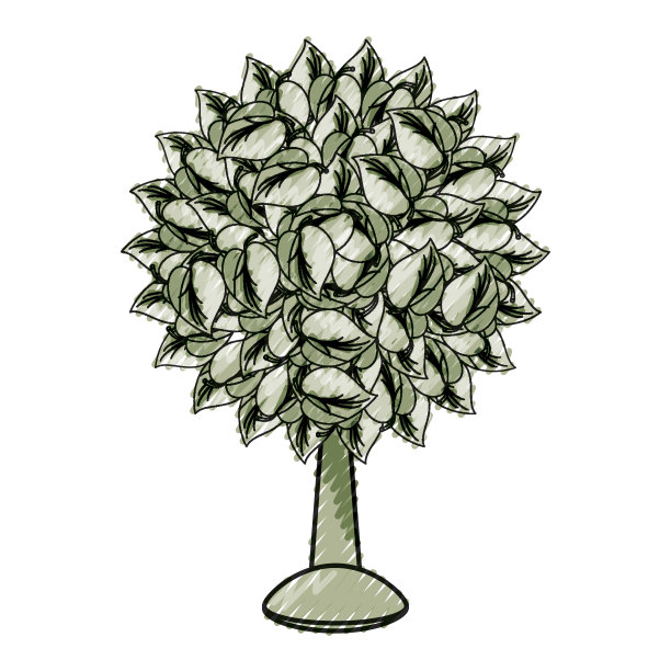 树自然隔离图片下载