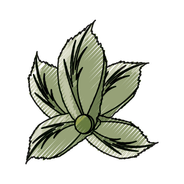 叶子生态标志图片下载