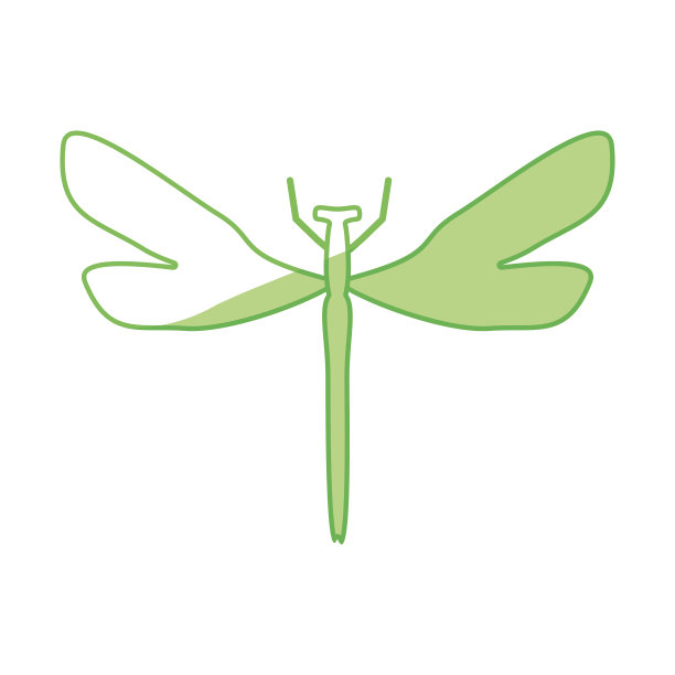 美丽的龙飞翔图片下载