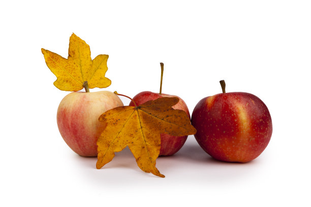 秋天，红苹果的叶子图片下载