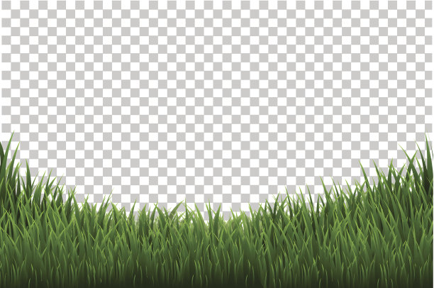 草边境图片下载