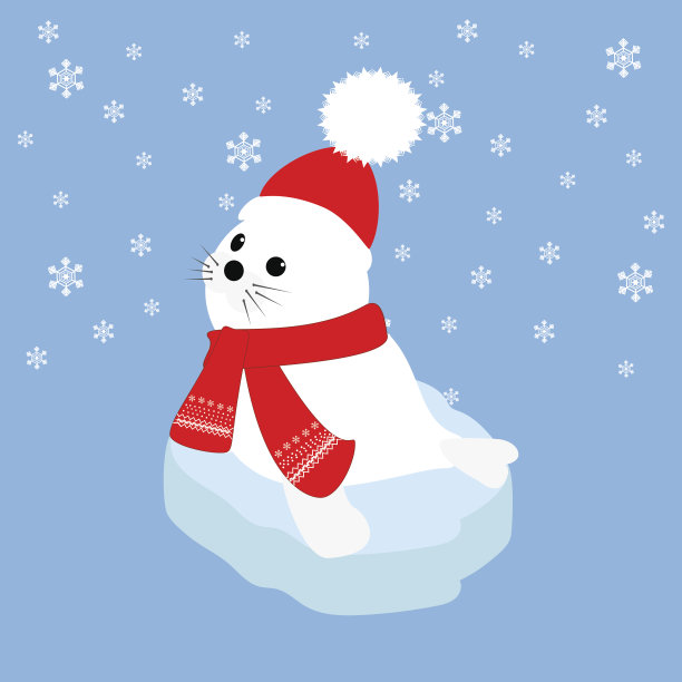 海豹宝宝在浮冰上图片下载