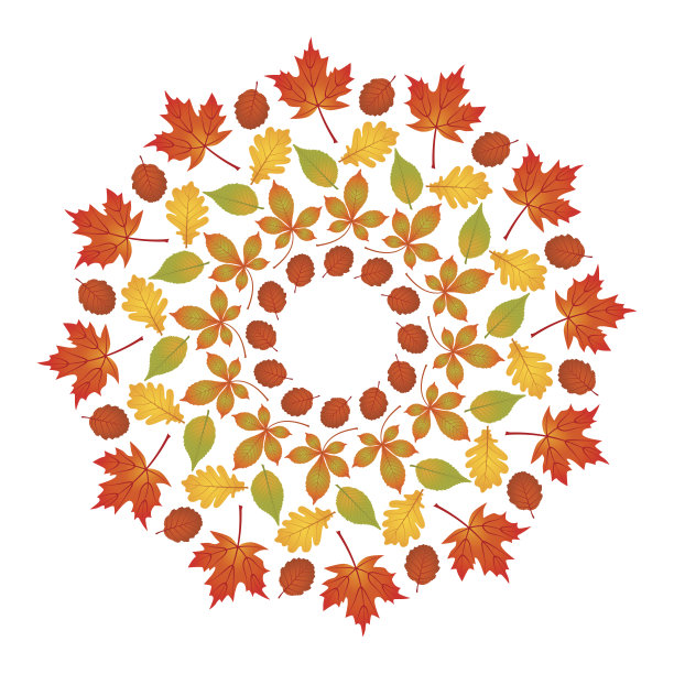 矢量彩色的圆形秋天曼陀罗与枫叶，橡树，山毛榉，栗树和桤木的叶子图片下载