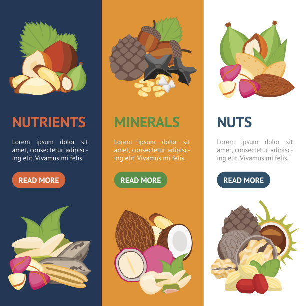 卡通颜色坚果旗帜垂直设置。向量素材图片