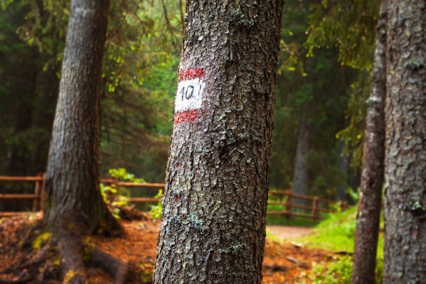 山间小路图片下载