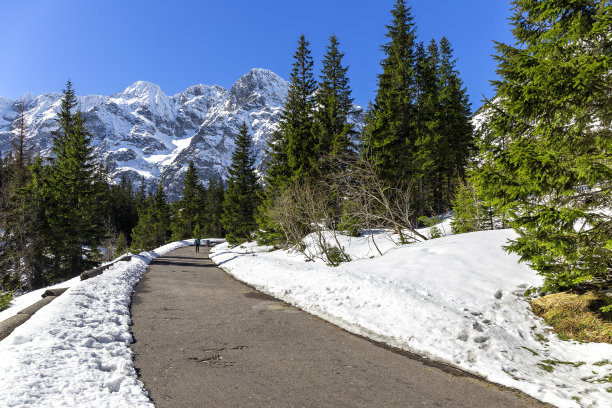 波兰塔特拉山脉，通往摩尔斯基奥科湖的道路图片下载