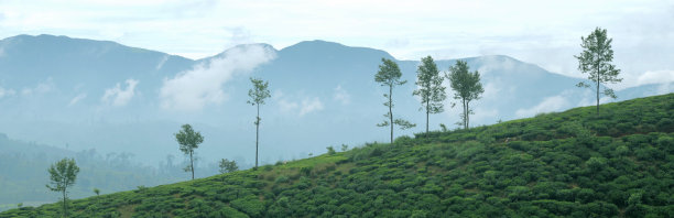 群山在哪里交汇图片下载