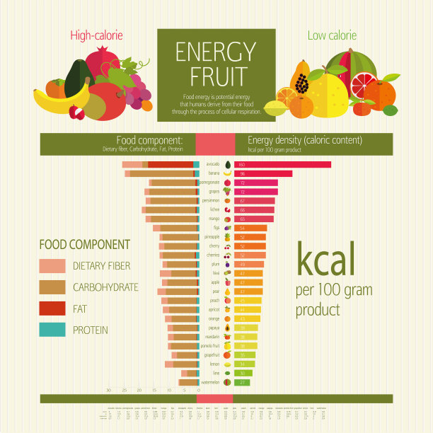 基本的饮食营养。图片下载