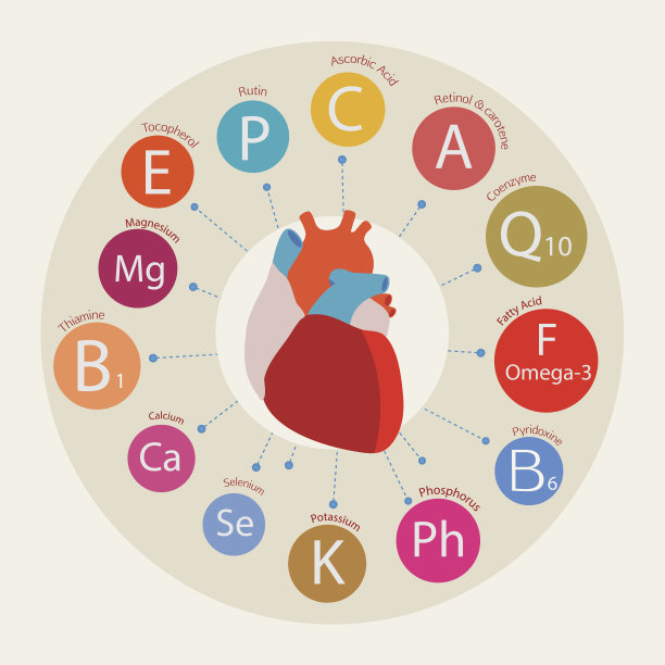 心脏健康。图片下载
