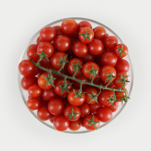 俯视图樱桃西红柿在玻璃碗孤立的白色背景图片下载