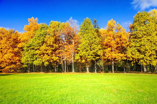 秋天的风景图片下载