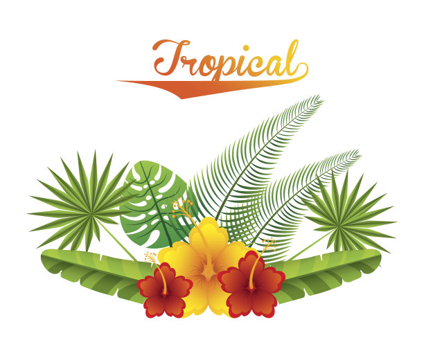 热带自然图片下载