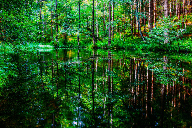 沃尔茨皮吉隆图片下载