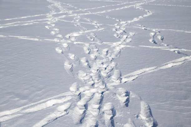 雪地里的脚印图片下载