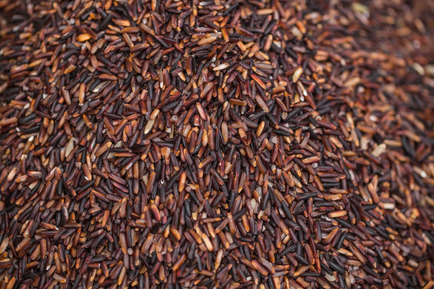 有机糙米或红米：来自泰国的高纤维、高维生素健康食品素材图片