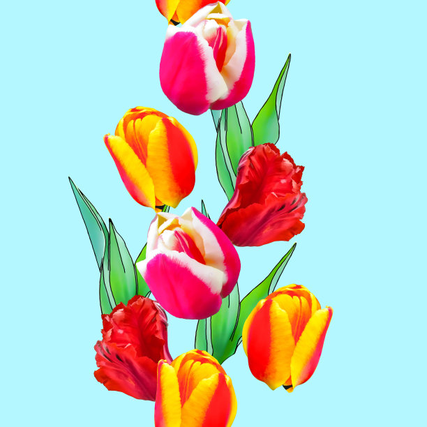 郁金香。花型纹理无缝。花背景，照片拼贴图片下载