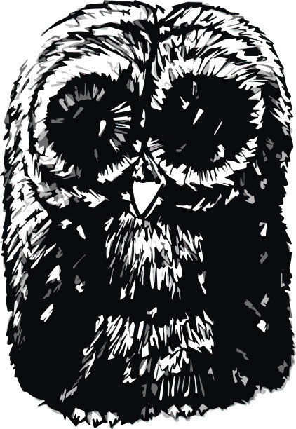 猫头鹰、手绘、动物、素描、插画、猫头鹰、孤立、婴儿、可爱、矢量、小鸟、素描、设计、卡通、自然、野生动物、涂鸦、装饰、图形图片下载