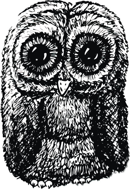 猫头鹰、手绘、动物、素描、插画、猫头鹰、孤立、婴儿、可爱、矢量、小鸟、素描、设计、卡通、自然、野生动物、涂鸦、装饰、图形图片下载