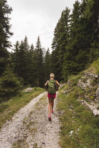 运行野生图片下载