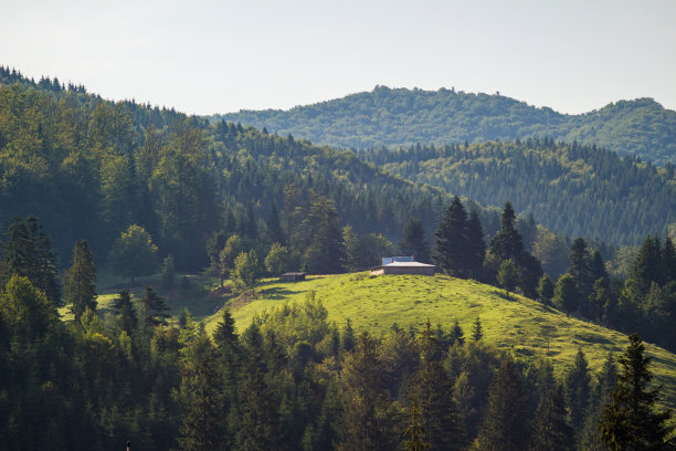 夏天在喀尔巴阡山脉山顶上的房子或谷仓图片下载