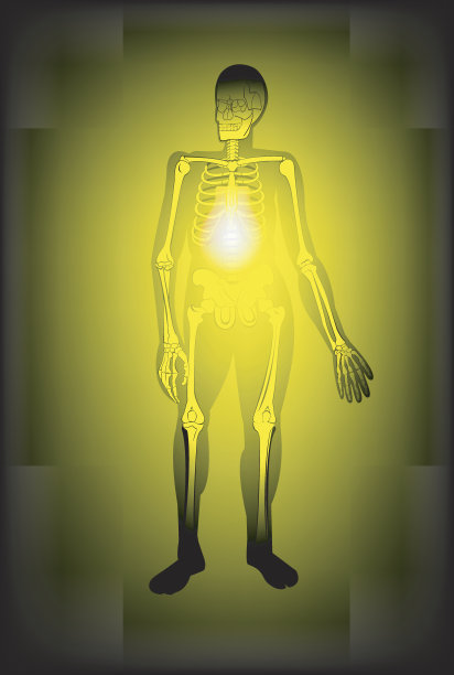 身体部位,图片下载