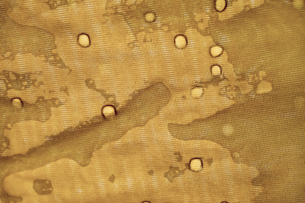 水滴在帐篷上，从里面看。图片下载