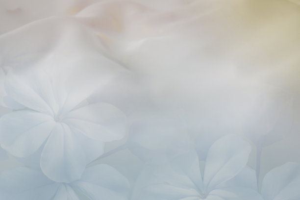 蓝色的花朵和内部的橙色的织物和空间的文字。-奢华的背景。图片下载